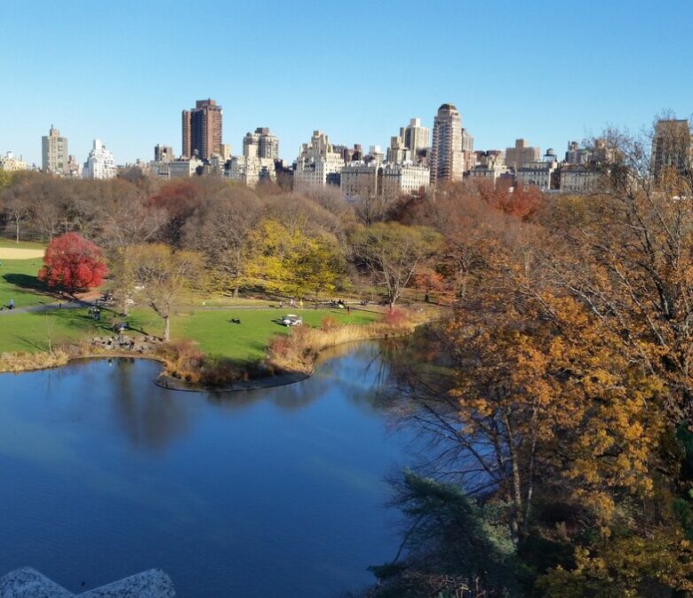 NYC: A Walk in the Park – Wherever I Land