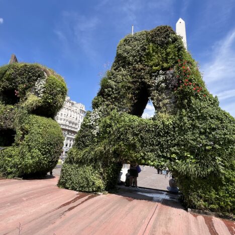 Live Green Letters B and A (for Buenos Aires)