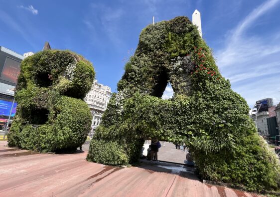 Live Green Letters B and A (for Buenos Aires)